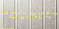 جودة أعلى محتوى أروع.. تردد قناة الاهلي الجديد 2025 على نايل سات وعرب سات