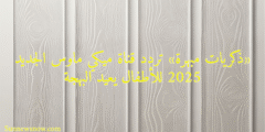 «ذكريات مبهرة» تردد قناة ميكي ماوس الجديد 2025 للأطفال يعيد البهجة