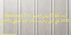 Karameesh TV : تردد قناة كراميش الجديد 2025 علي نايل وعرب سات ثبتها دلوقتي واستمتع
