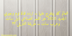 العالم كله بيتفرج عليها .. تردد قناة توم وجيري الجديد 2025 عبر القمر الصناعي نايل سات وعرب سات .. طريقة التنزيل ؟؟