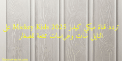 تردد قناة ميكي كيدز Mickey Kids 2025 على النايل سات وعربسات ممتعة للصغار
