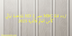 تردد قناة MBC مصر 2 HD لمشاهدة نهائي كأس العالم للأندية 2025