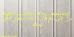 التردد الجديد.. تردد قناة MBC مصر 2 لمتابعة نهائي كأس العالم للأندية 2025 ومتخليش الماتش يفوتك
