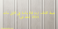 ضبط القناة.. تردد قناة وناسة على النايل سات 2025 شاهد فوراً