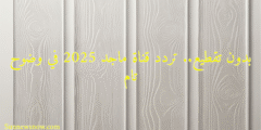 بدون تقطيع.. تردد قناة ماجد 2025 في وضوح تام
