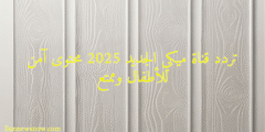 تردد قناة ميكي الجديد 2025 محتوى آمن للأطفال وممتع