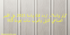 “لولو وناسة”.. تردد قناة وناسة 2025 علي القمر الصناعي النايل والعرب سات بجودة HD