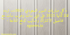 «كل مباريات السوبر السعودي 2025».. تردد قناة ثمانية 2025 على نايل سات وعرب سات مع تفاصيل الاشتراك وأساليب الدفع المتاحة – egnews.in